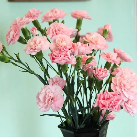 Haven Crest Pensjonat