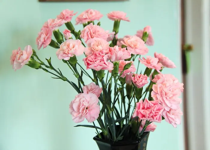 Haven Crest Guest house