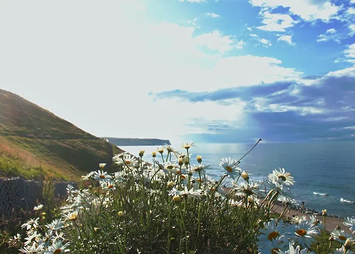 Guest house Haven Crest