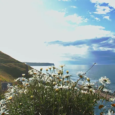 Konukevi Haven Crest